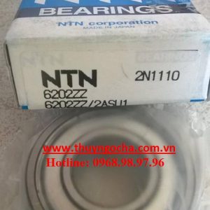 6202zz-ntn