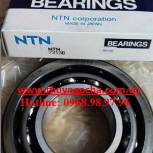 7313-ntn