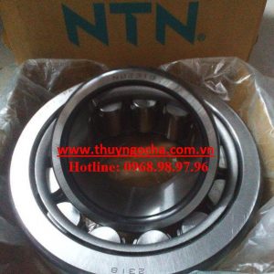 nu2318-ntn