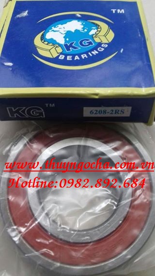 6208 2rs kg