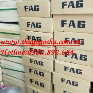 VÒNG BI - BẠC ĐẠN - FAG
