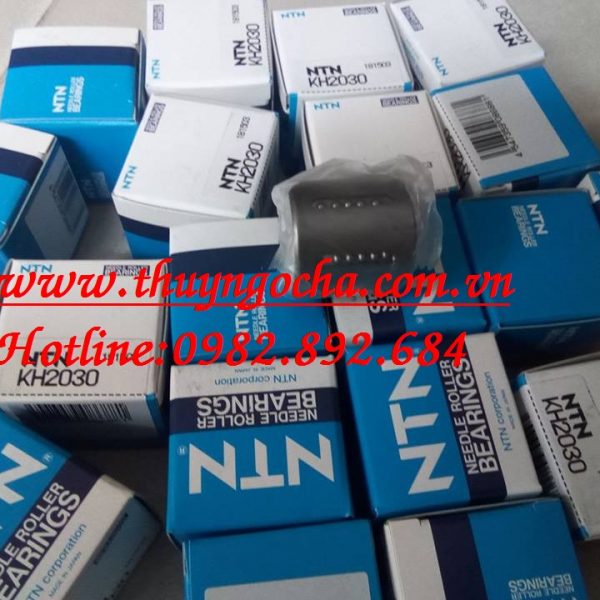 KH2030 NTN