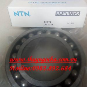 VÒNG BI - BẠC ĐẠN - 2217SK NTN