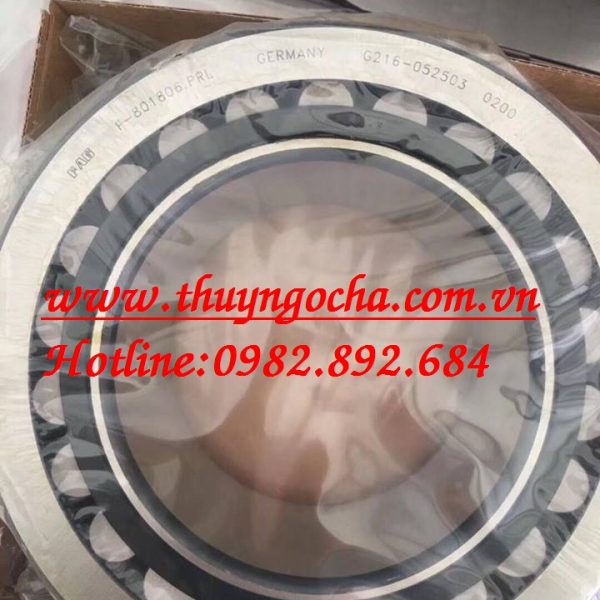 VÒNG BI BẠC ĐẠN F801806 FAG