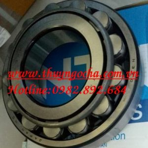 VÒNG BI - BẠC ĐẠN - N320C3 NTN