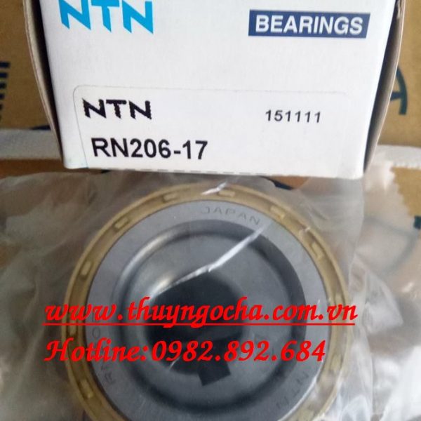 VÒNG BI RN206-17