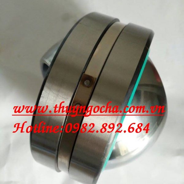 BẠC ĐẠN MẮT TRÂU