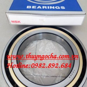 VÒNG BI - BẠC ĐẠN - 7038B NSK