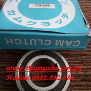 VÒNG BI - BẠC ĐẠN - CSK25