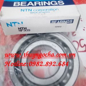 VÒNG BI - BẠC ĐẠN - NF309