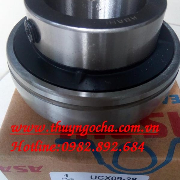 VÒNG BI BẠC ĐẠN UCX29-28