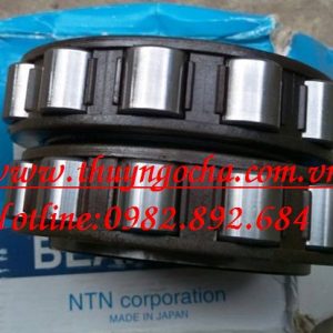 VÒNG BI LỆCH TÂM NTN NHẬT