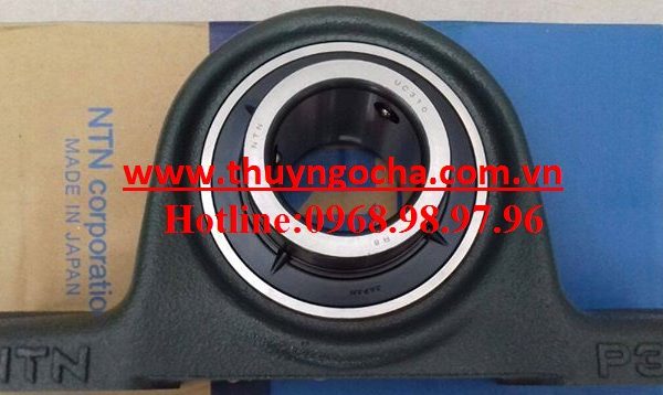 UCP310 NTN