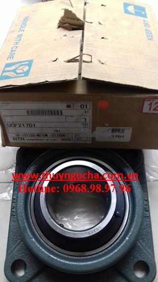 UCF217 NTN