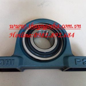 VÒNG BI UCP313