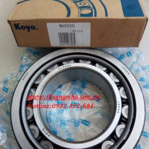 VÒNG BI - BẠC ĐẠN - NU2220