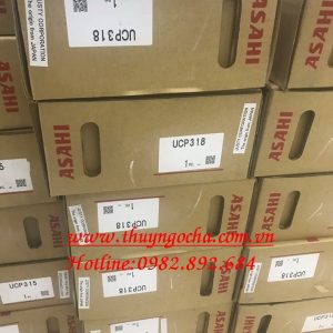 GỐI ĐỠ - VÒNG BI UCP318 ASAHI