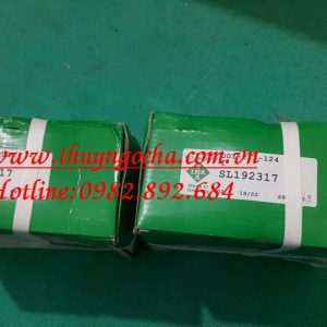 VÒNG BI - BẠC ĐẠN SL192317 INA