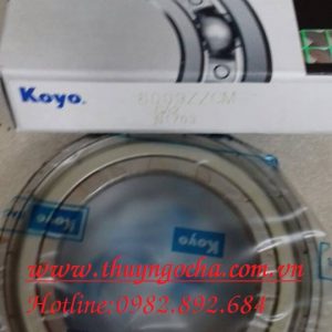 VÒNG BI 6011