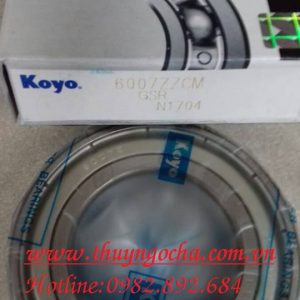 VÒNG BI 6013