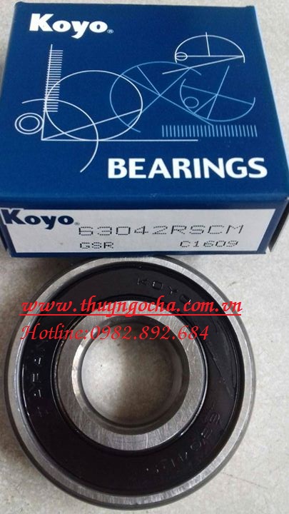 VÒNG BI BẠC ĐẠN 6304