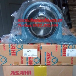 GỐI ĐỠ UCP213 ASAHI