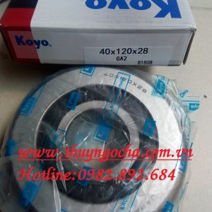 VÒNG BI - BẠC ĐẠN 40X120X28