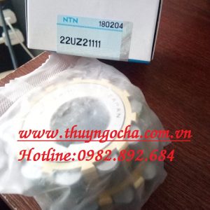 VÒNG BI - BẠC ĐẠN LỆCH TÂM 22UZ21111