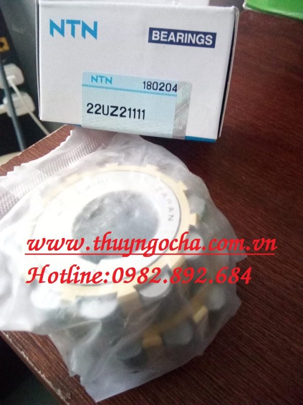 VÒNG BI BẠC ĐẠN LỆCH TÂM 22UZ21111