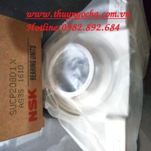GỐI ĐỠ SP216 - BẠC ĐẠN SP216