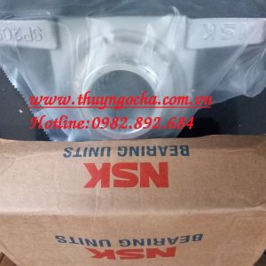 GỐI ĐỠ SP217 - BẠC ĐẠN SP217