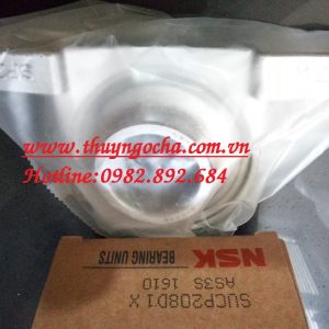 GỐI ĐỠ SP219 - BẠC ĐẠN SP219