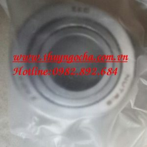 VÒNG BI - BẠC ĐẠN NUTR15
