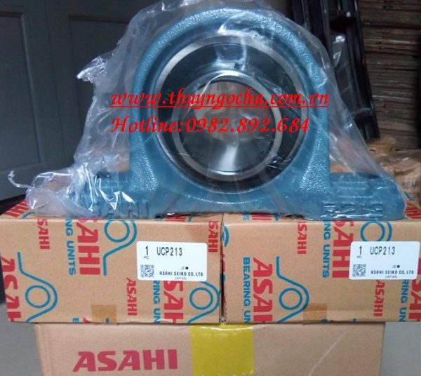GỐI ĐỠ UCP213 ASAHI