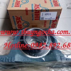 GỐI ĐỠ UCP305 - ASAHI