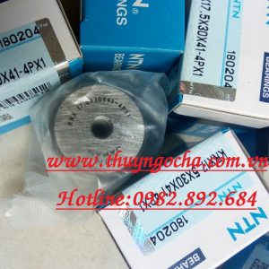 VÒNG BI KRX17.5X30X41-4PX1