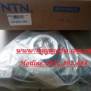 VÒNG BI P309-111