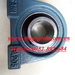 VÒNG BI - BẠC ĐẠN PA205