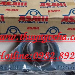 GỐI ĐỠ UCP217 - ASAHI