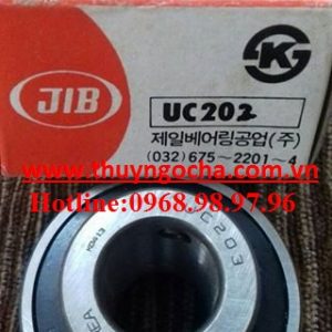 VÒNG BI UC202