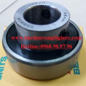 VÒNG BI SCB203
