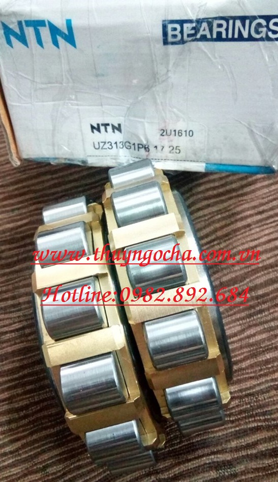 VÒNG BI BẠC ĐẠN UZ313-17-25 G1P6 NTN