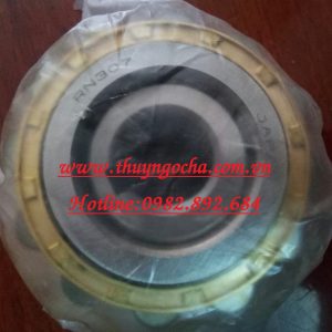VÒNG BI BẠC ĐẠN HỘP SỐ RN307-87