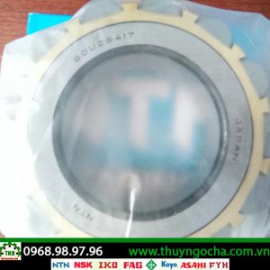 VÒNG BI LỆCH TÂM 60UZS417