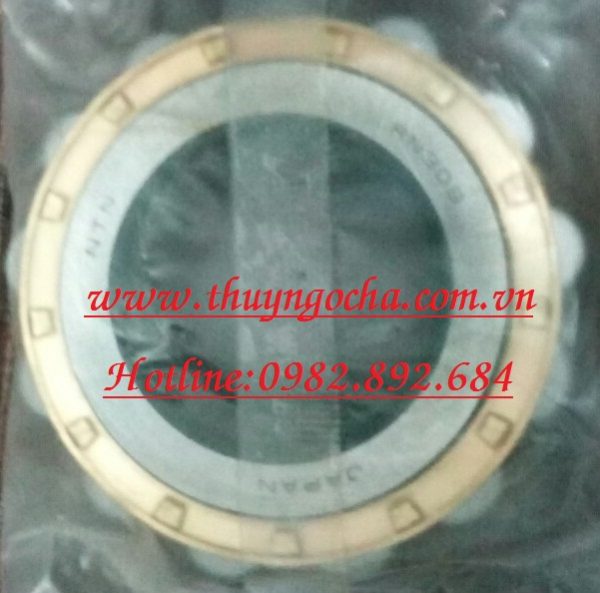 VÒNG BI BẠC ĐẠN LỆCH TÂM RN205