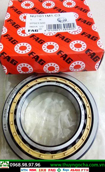 VÒNG BI BẠC ĐẠN NU1011M1.C3