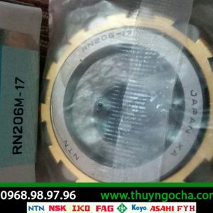 VÒNG BI LỆCH TÂM RN206-17 NTN