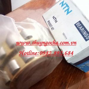 VÒNG BI LỆCH TÂM RN307-87 NTN