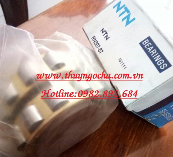 VÒNG BI LỆCH TÂM RN307-87 NTN