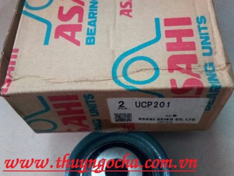 GỐI ĐỠ UCP320